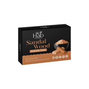 Sandal Wood Soap 100 GM